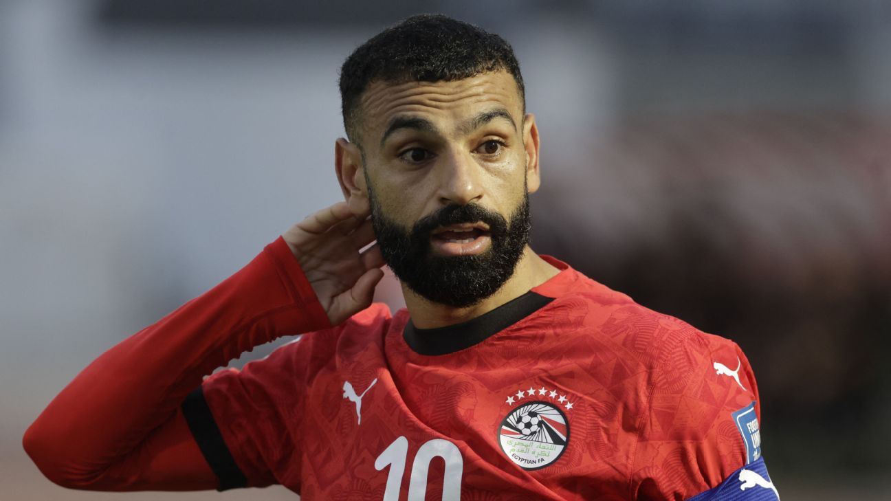 FIFA要求埃及世界杯球衣去掉七颗星，足协已提前应对